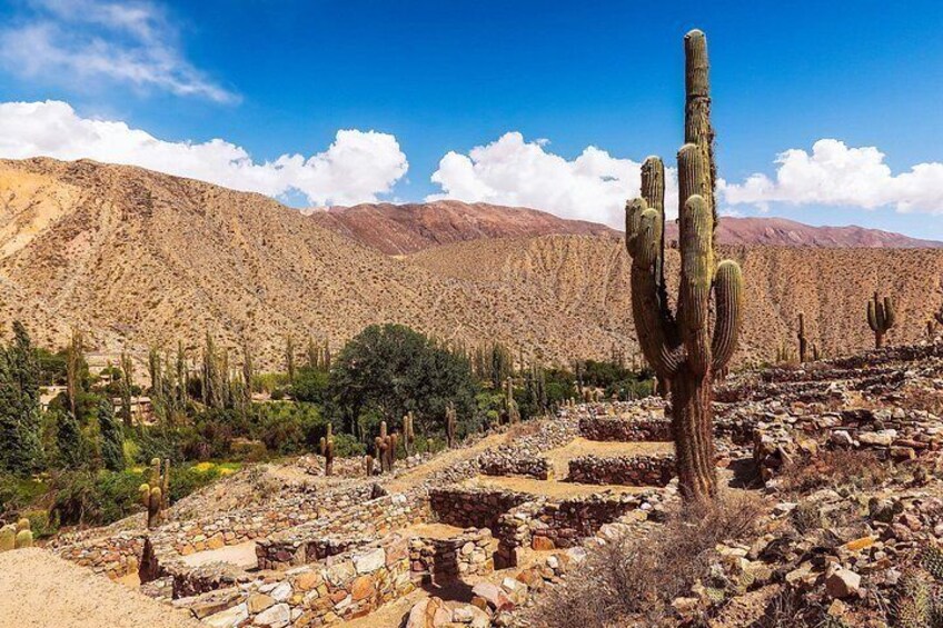 A desert landscape with a prominent cactus, rocky terrain, and distant mountains. 5