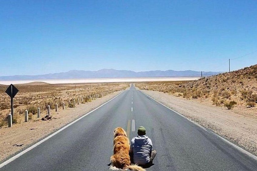 A road with a person and a dog in the foreground, a clear sky, and distant mountains. 4