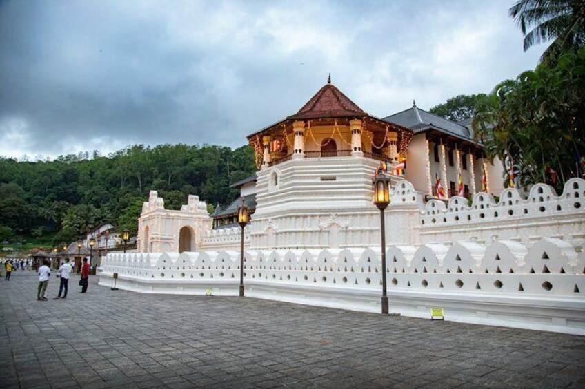 Best of Sri Lanka in 5 Days – Luxury Travel Package 2