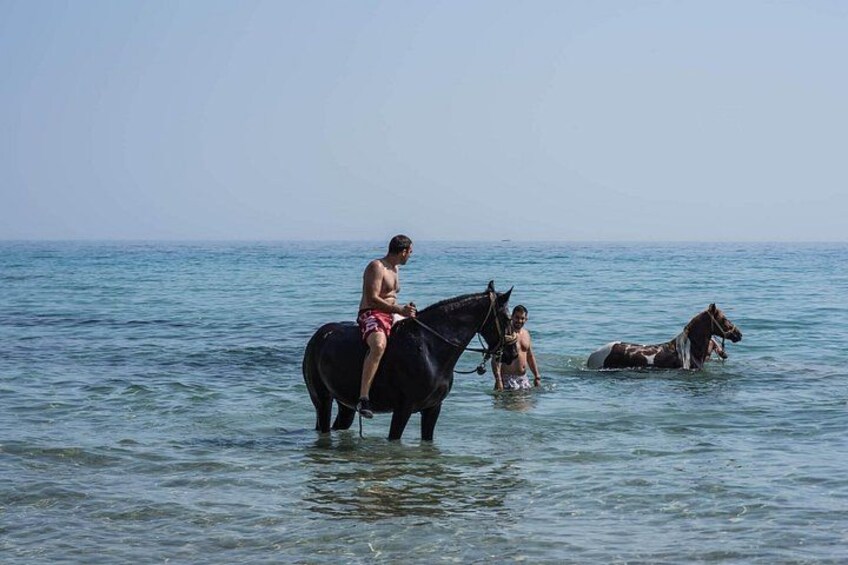 Zakynthos Small Group Horseback Riding Tour With Horse Swimming 3