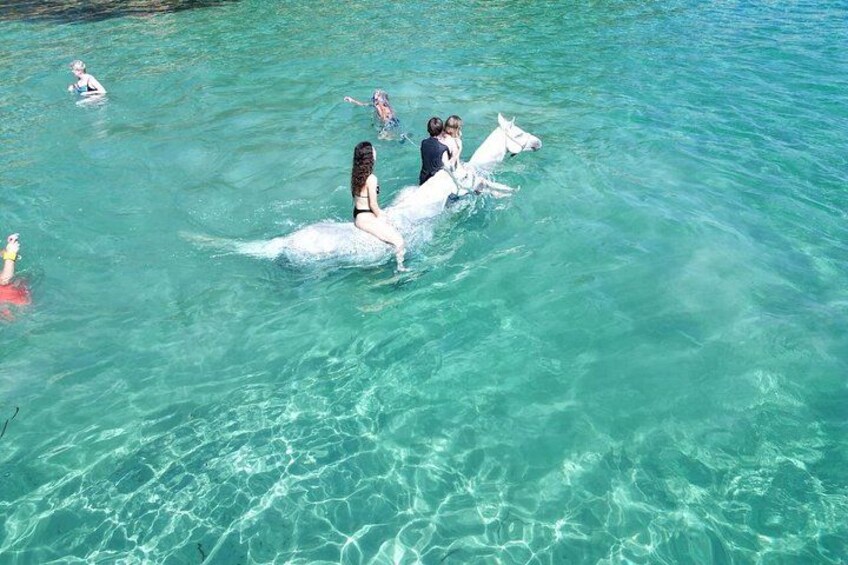 Zakynthos Small Group Horseback Riding Tour With Horse Swimming 5