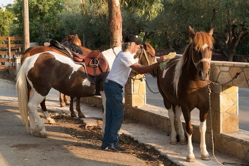 Zakynthos Small Group Horseback Riding Tour With Horse Swimming 2