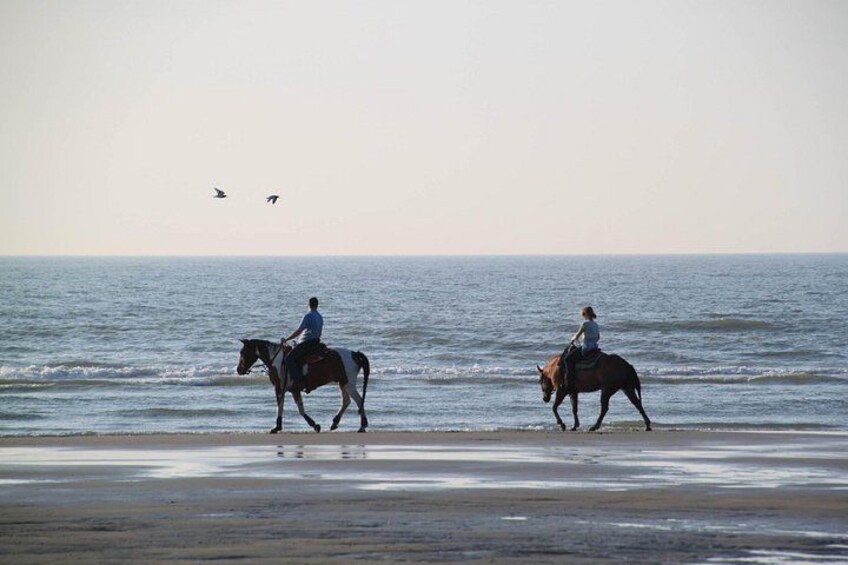 Zakynthos Small Group Horseback Riding Tour With Horse Swimming 4