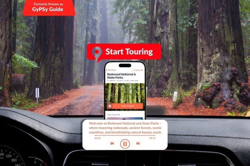 A smartphone mounted on a car dashboard displaying a tour guide app for Redwood National and State Parks. 1