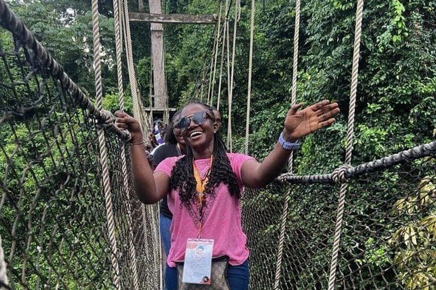 A person crossing a rope bridge in a forested area. 3