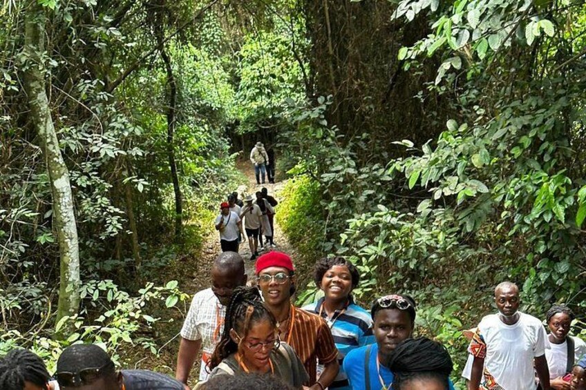 A group of people hiking in a forested area with dense vegetation and a narrow trail. 1