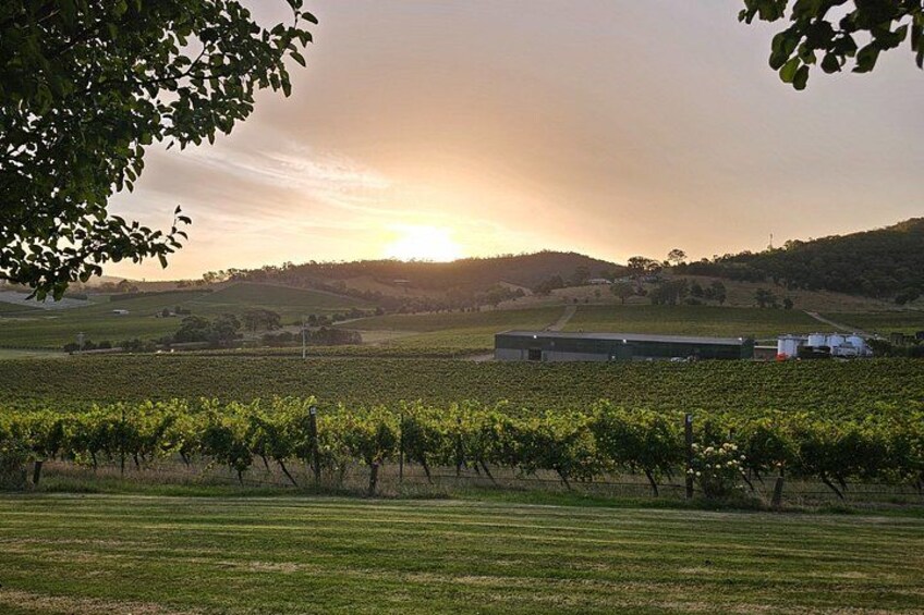 Flavour of the Yarra Valley Private Experience 2