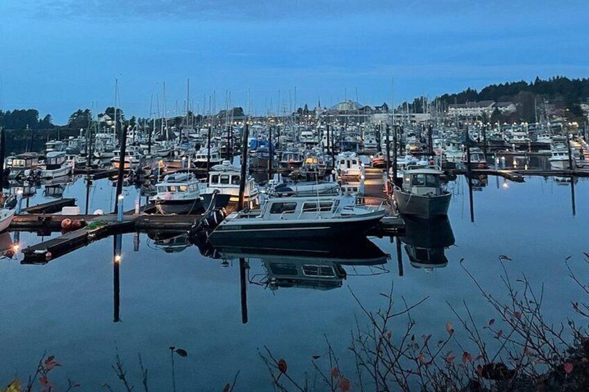Small-Group Scenic Tour | SITKA SIGHTSEEING 2