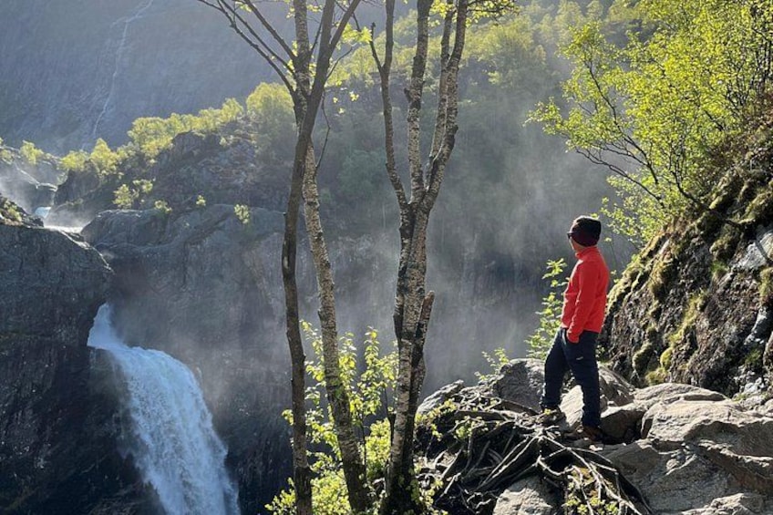 A waterfall, trees, and a person standing on rocks. 1