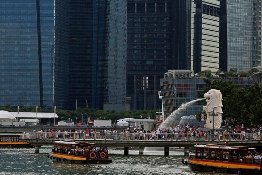 Singapore River Cruise with Gardens by the Bay Light Show 4