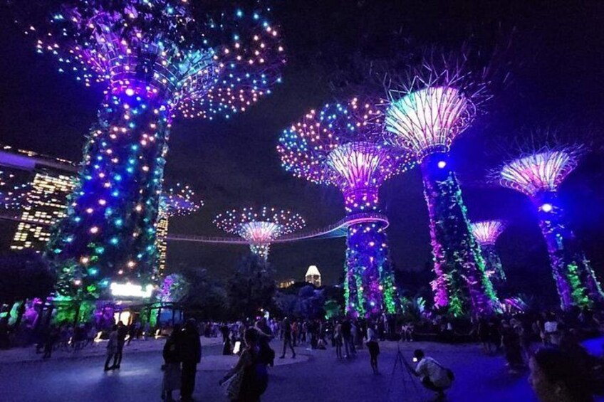 Singapore River Cruise with Gardens by the Bay Light Show 5
