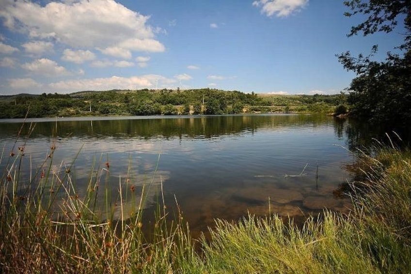 Un lago tranquilo rodeado de vegetación y árboles. 2