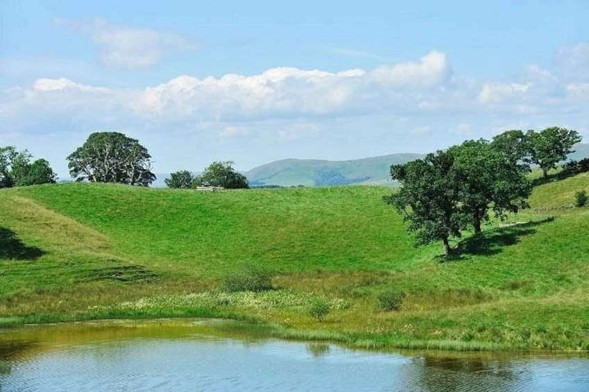 Un paisaje con césped, un estanque, árboles y colinas onduladas. 4
