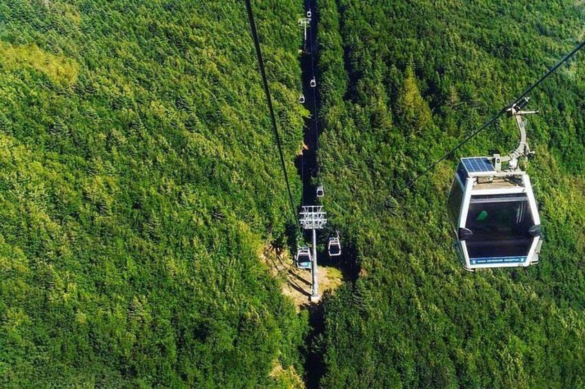 A cable car system in a forested area with a cable car in motion and a stationary car at the base. 2