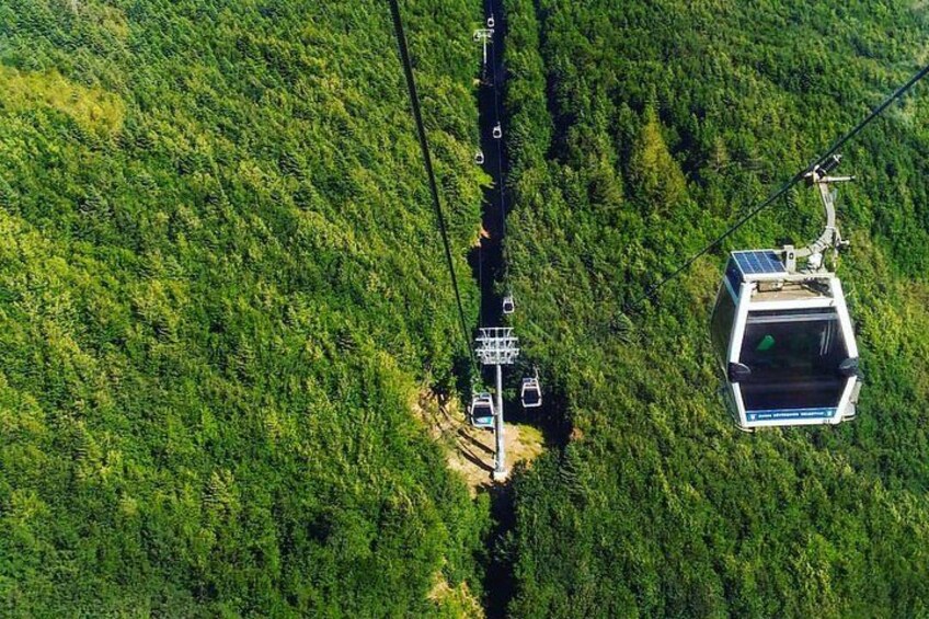 A cable car system in a forested area with a cable car suspended over a road. 4