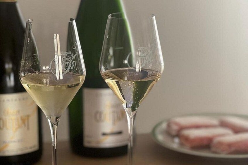 Check-out Reims: Discovery Vineyard and Tasting Champagne Coutant 2