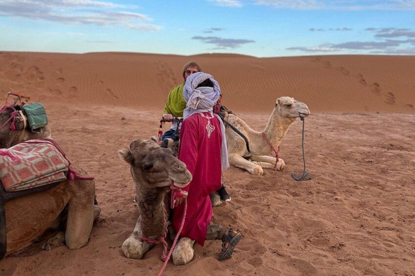 A desert landscape with sand dunes and camels. 3