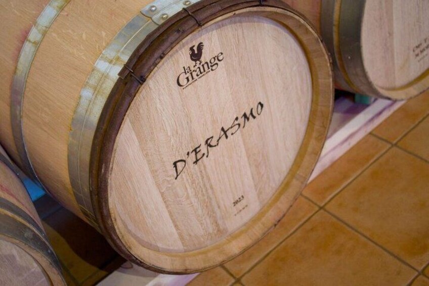 Visit and tasting at Erasmo Winery featuring signature wines 2