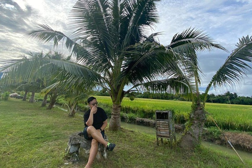 A person sitting on a rock near a palm tree in a field with a signboard. 5