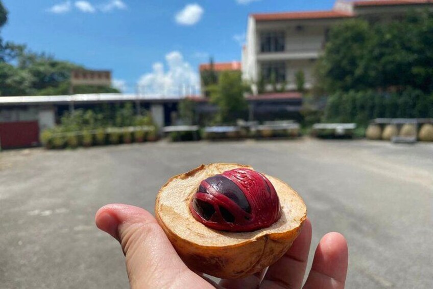 How beautiful nutmeg is. 2