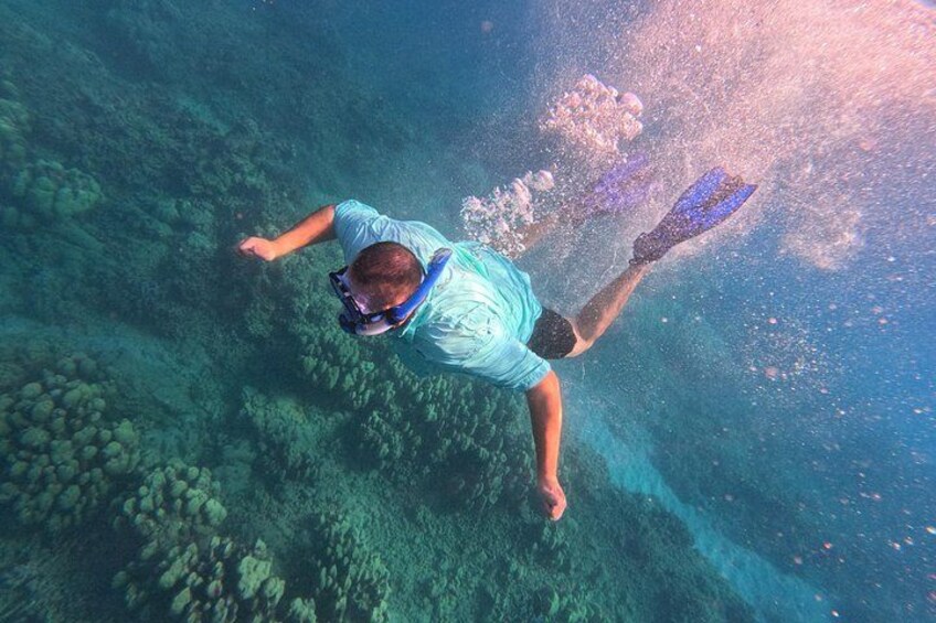 A person snorkeling underwater with fins and a mask. 4