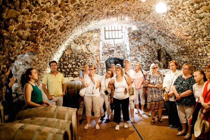 Un gruppo di persone all'interno di una cantina con pareti in pietra, un barile di legno e una scala in metallo. 5