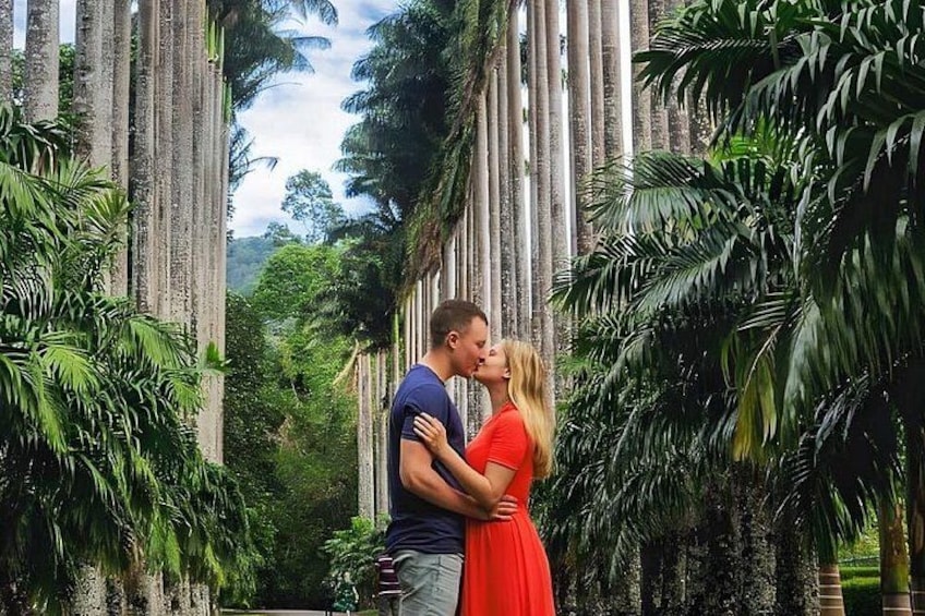 A couple embracing in a tropical setting with tall palm trees and a clear sky. 5