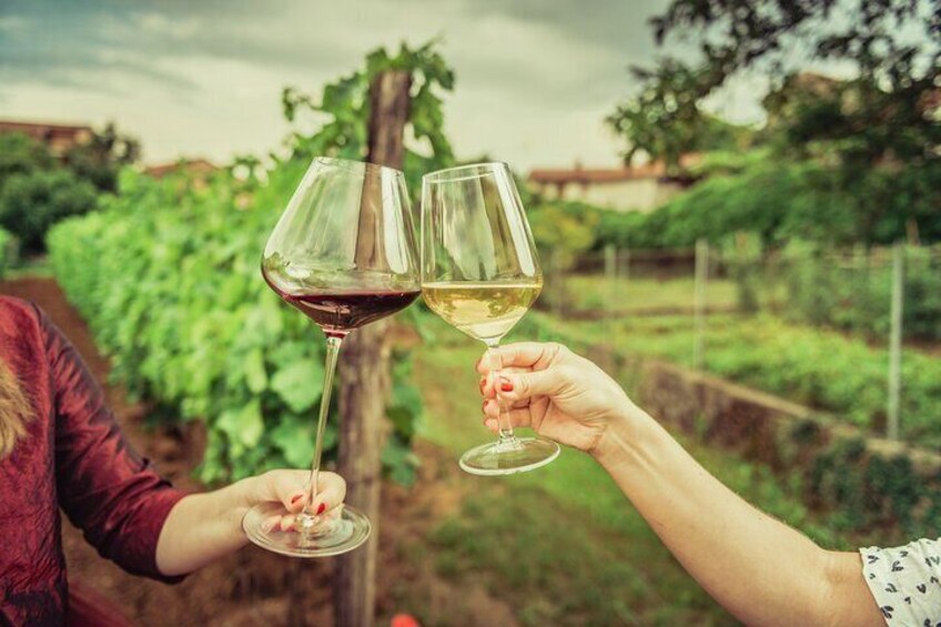 Two people toasting with wine glasses in a vineyard. 3