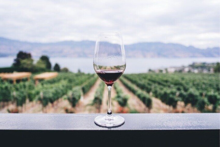 A wine glass on a balcony overlooking a vineyard with a lake and mountains in the distance. 2