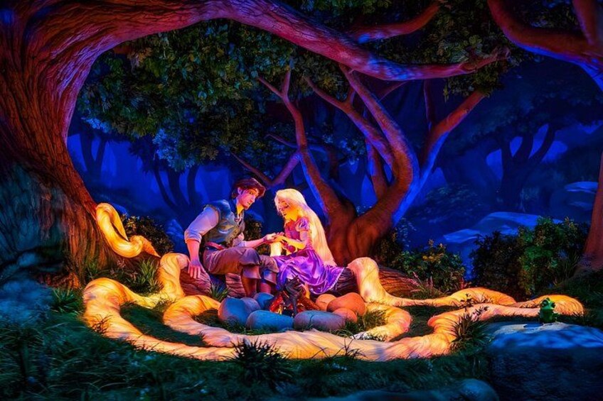 Tokyo Disneysea Ticket & Optional Tokyo Subway Pass 3