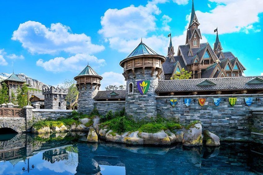 Tokyo Disneysea Ticket & Optional Tokyo Subway Pass 4
