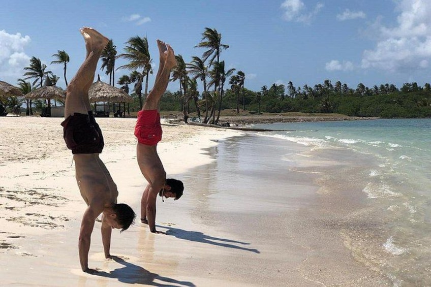 Two people performing handstands on a sandy beach with palm trees and a clear sky in the background. 4