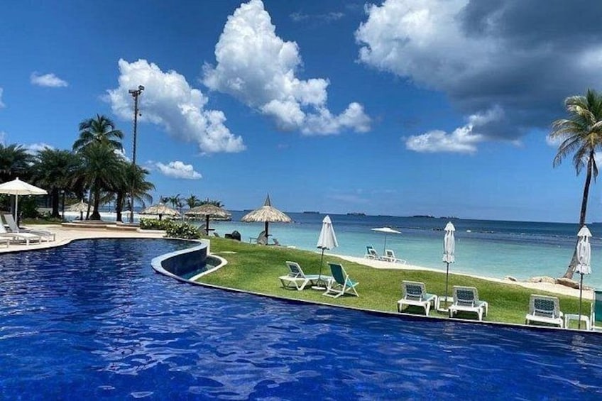 A swimming pool with a view of the ocean, lounge chairs, and palm trees. 1