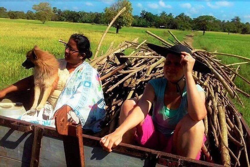 7 Day Experience of Sri Lankan Indigenous Medicine With Meals 2
