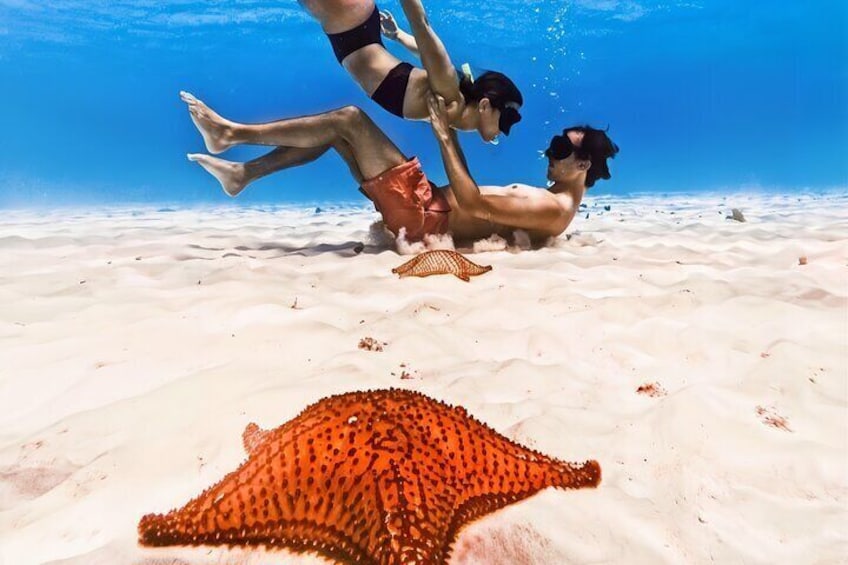 Una persona nadando bajo el agua cerca de una playa arenosa, con una manta raya. 1