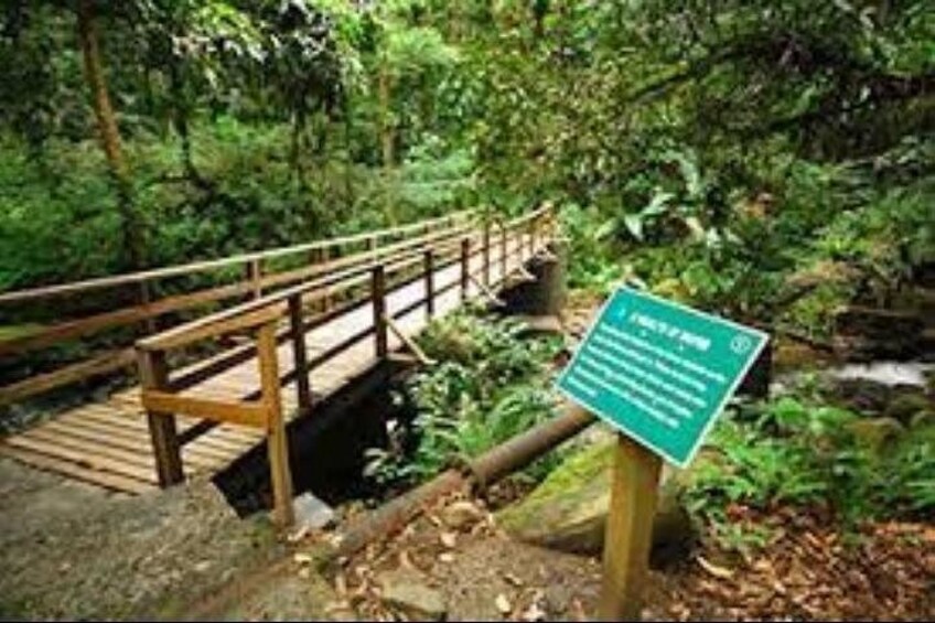 Un puente de madera en un área boscosa con un cartel informativo verde. 1