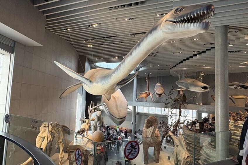 Un museo con grandi scheletri di dinosauro, incluso un imponente T-Rex. 1