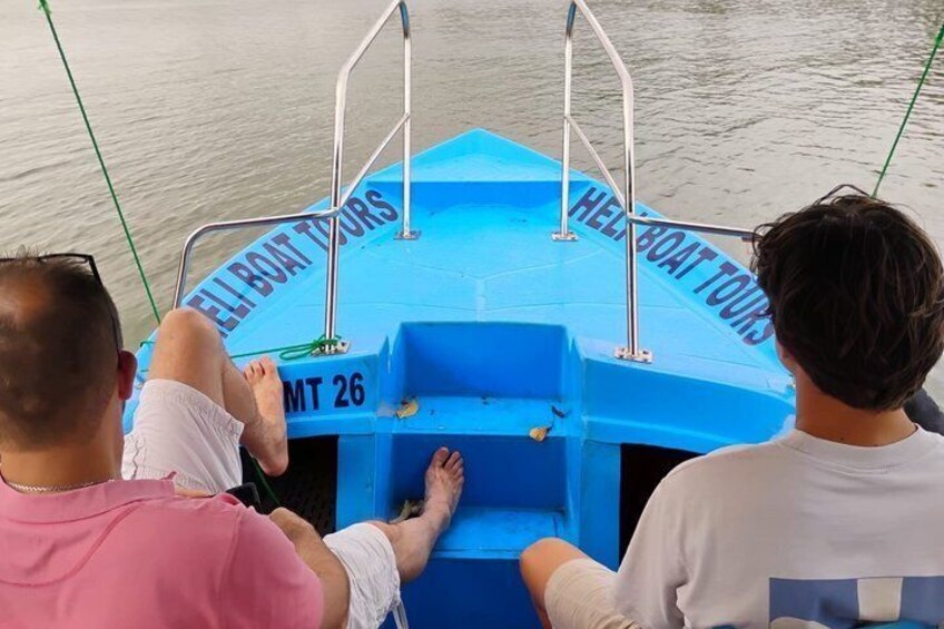 Negombo Lagoon Boat Safari Hotel Pickup(Monkey,Mangrove) 3