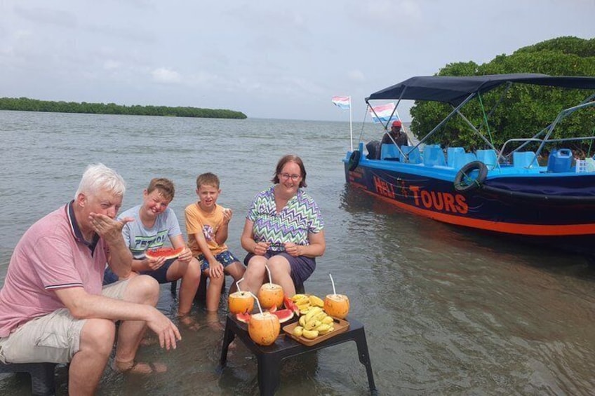 Negombo Lagoon Boat Safari Hotel Pickup(Monkey,Mangrove) 3