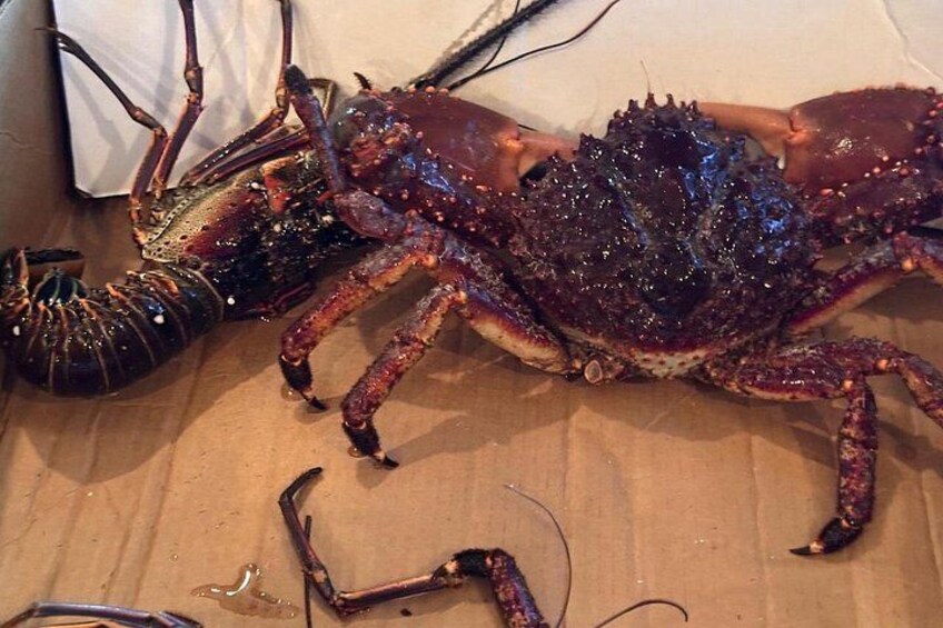 A large crab on a cardboard surface. 3