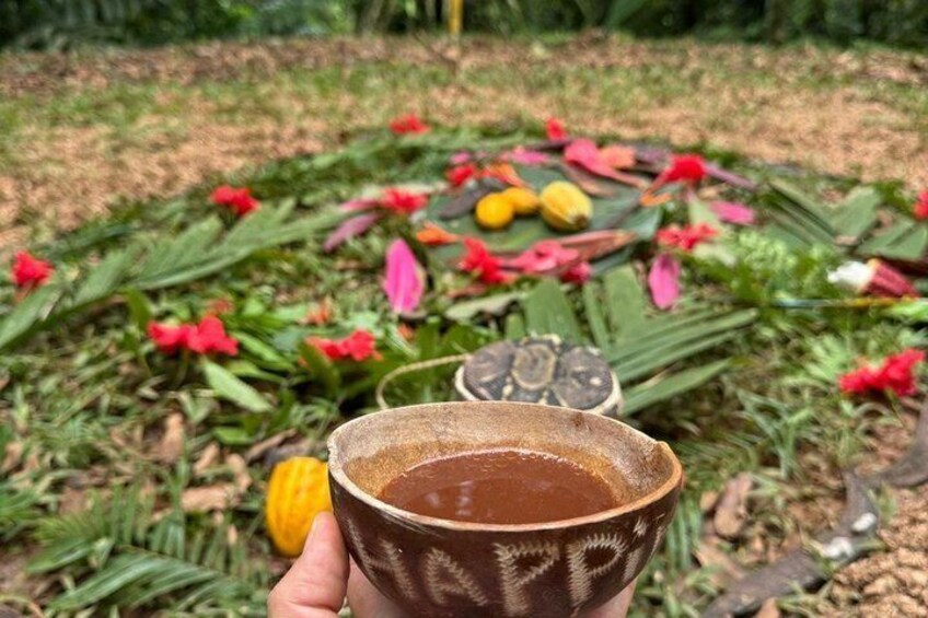 Private Experience of Cocoa Forest Bath Ceremony Therapy 1