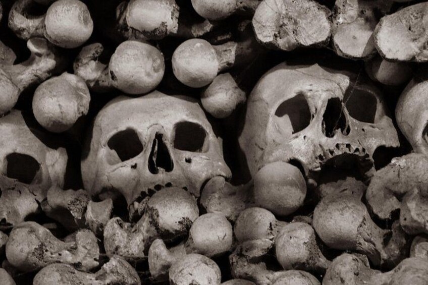 Une collection de crânes et d’ossements humains. 5