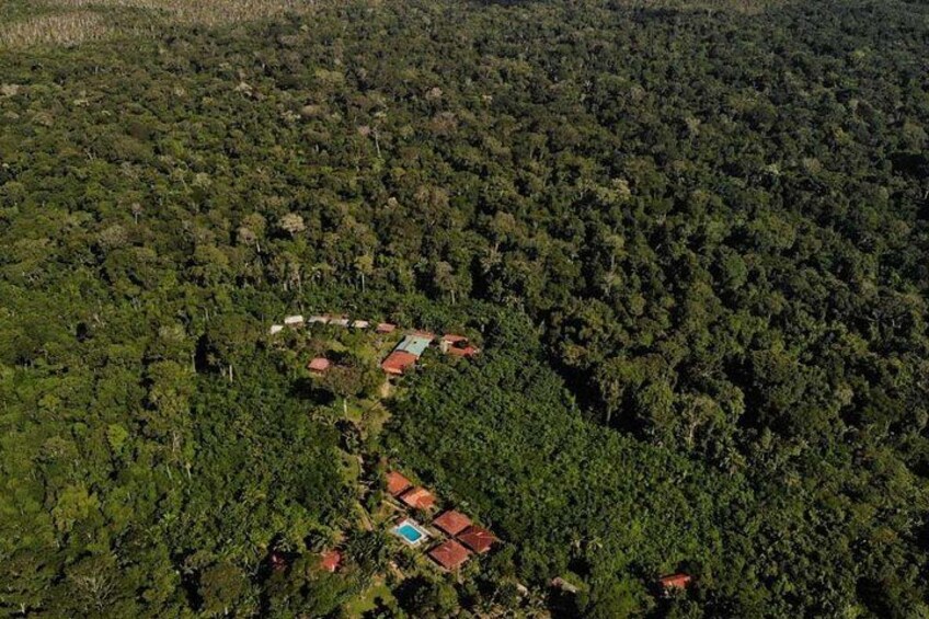 Puerto Maldonado: 2 Days Sandoval Tour - Tambopata Amazon Jungle 4