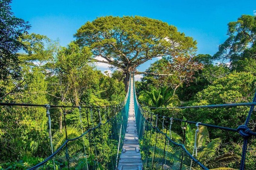 Puerto Maldonado: 2 Days Sandoval Tour - Tambopata Amazon Jungle 5
