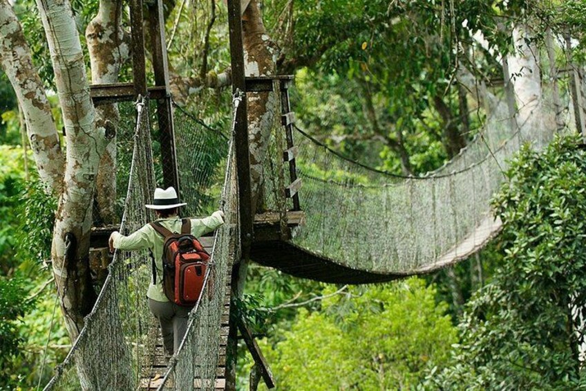 Puerto Maldonado: 2 Days Sandoval Tour - Tambopata Amazon Jungle 2