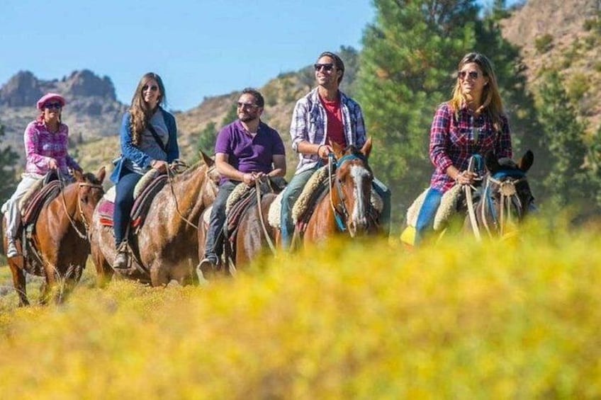 Quattro persone a cavallo in un campo fiorito di fiori gialli, con alberi sullo sfondo. 2