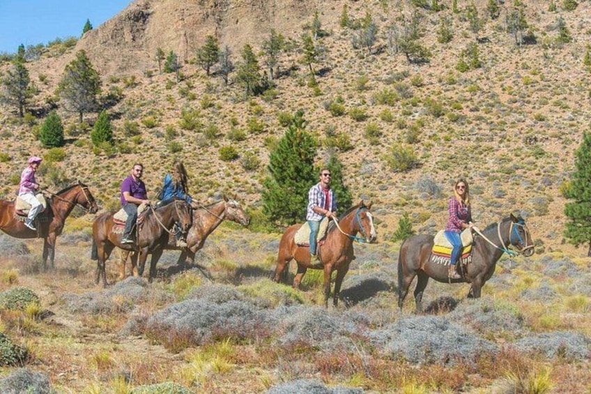 Un gruppo di persone cavalca attraverso un paesaggio collinare e arido, con vegetazione rada. 1