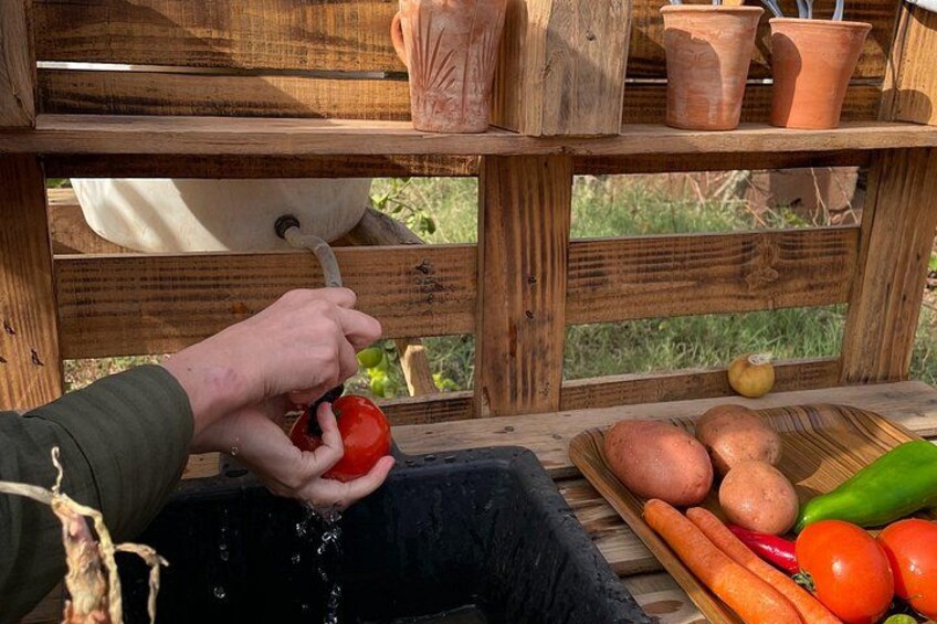 A person washing vegetables in a wooden trough outdoors. 4
