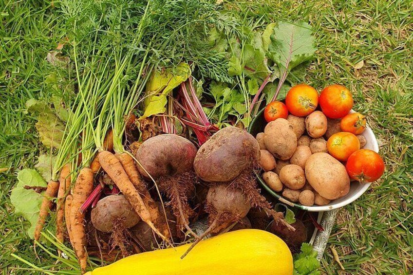 Fresh ingredients from the farm or locally sourced 3