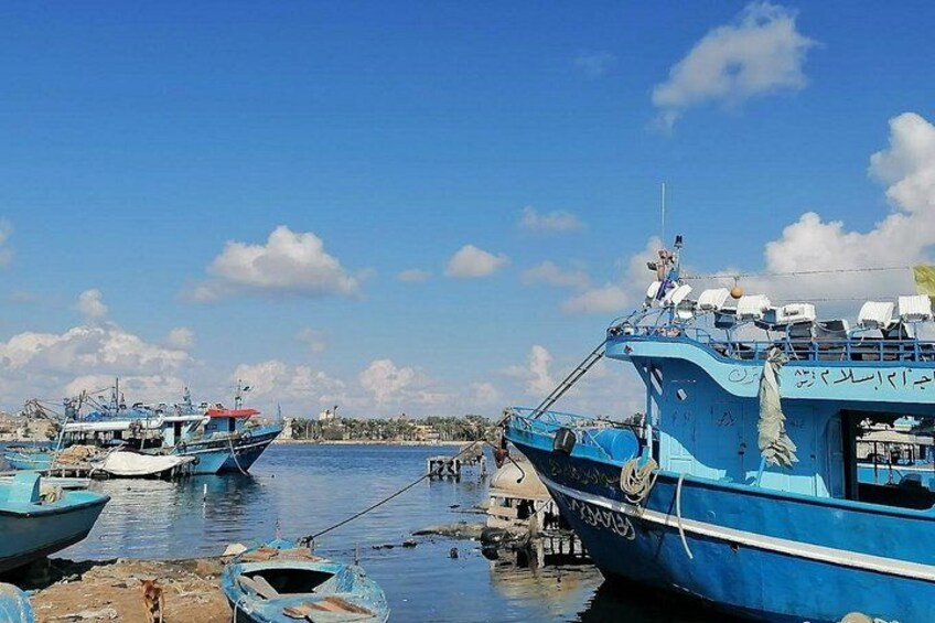 A harbor with several boats docked, a clear sky, and a distant shoreline. 5
